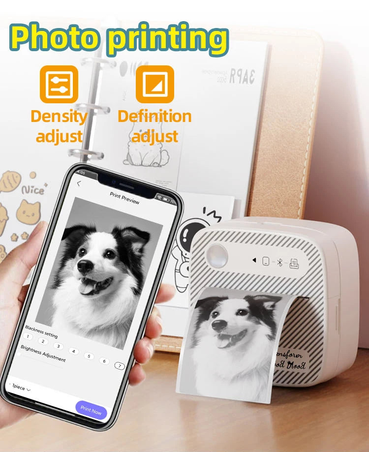LIMITED EDITION Mini Printer (+ Free Roll)